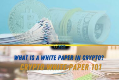 What Is A White Paper In Crypto? Crypto White Paper 101